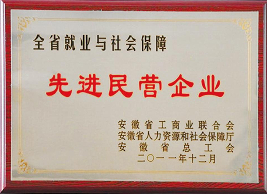 先 進(jìn)民營(yíng)企業(yè)